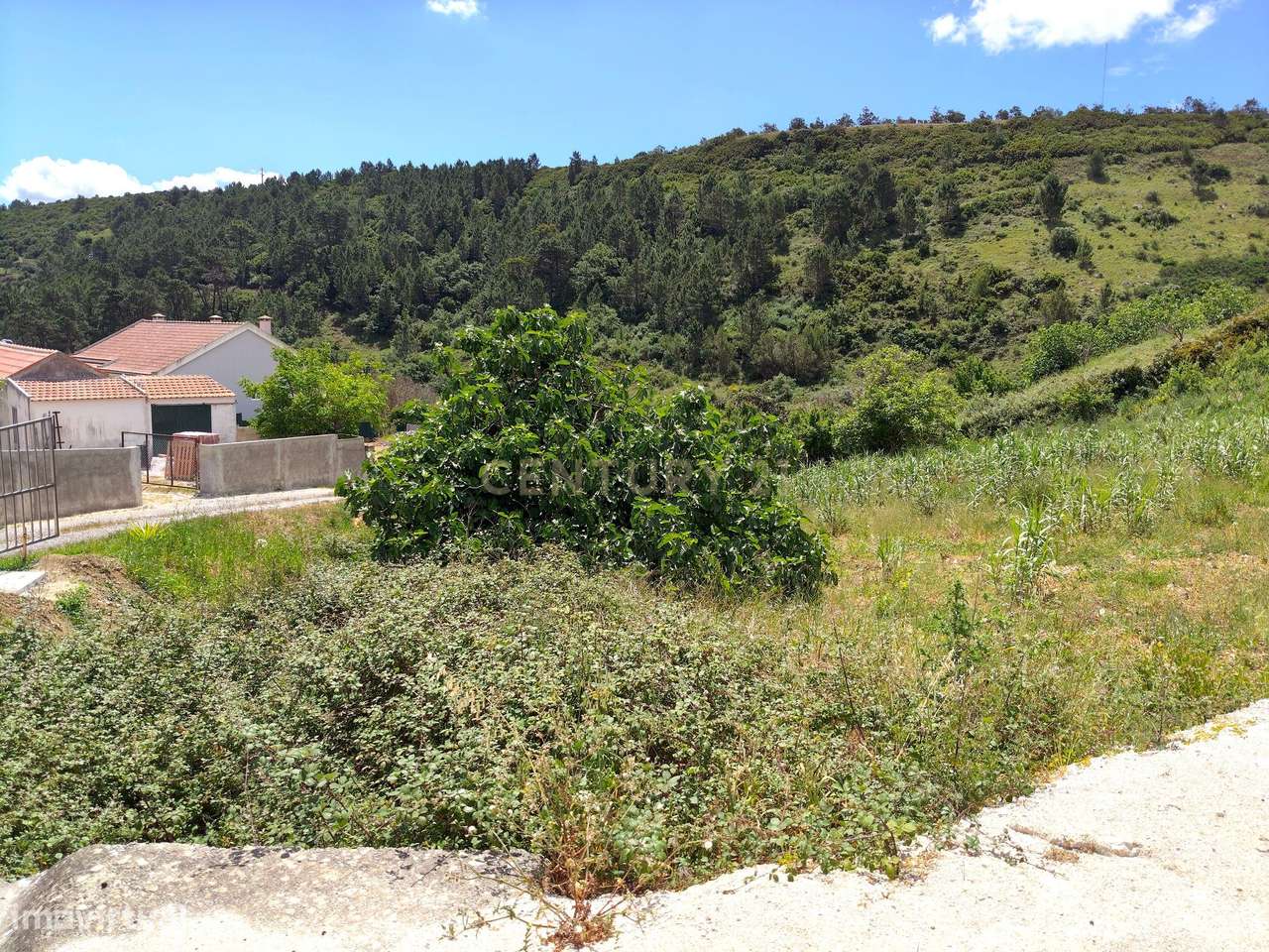 Terreno Rústico com Árvores de Fruto - Calhandriz, Vila Franca de Xira-13