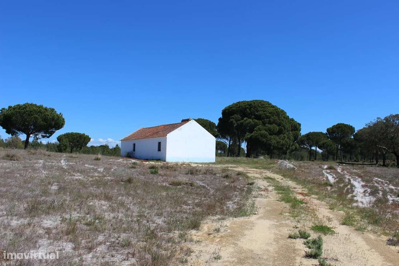 Herdade 25.2 ha, Bicas, Grandola - Grande imagem: 3/28