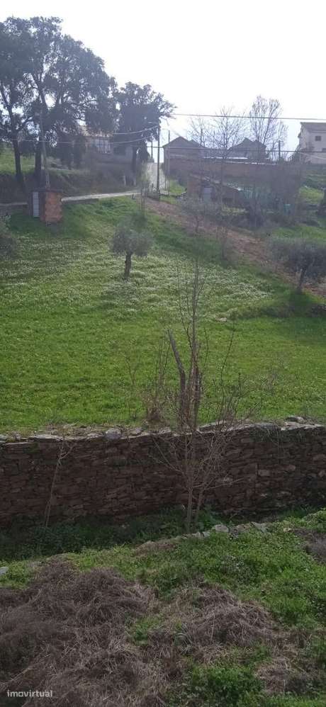 Vende casinha em pedra Salgueiros Murça - Grande imagem: 4/8