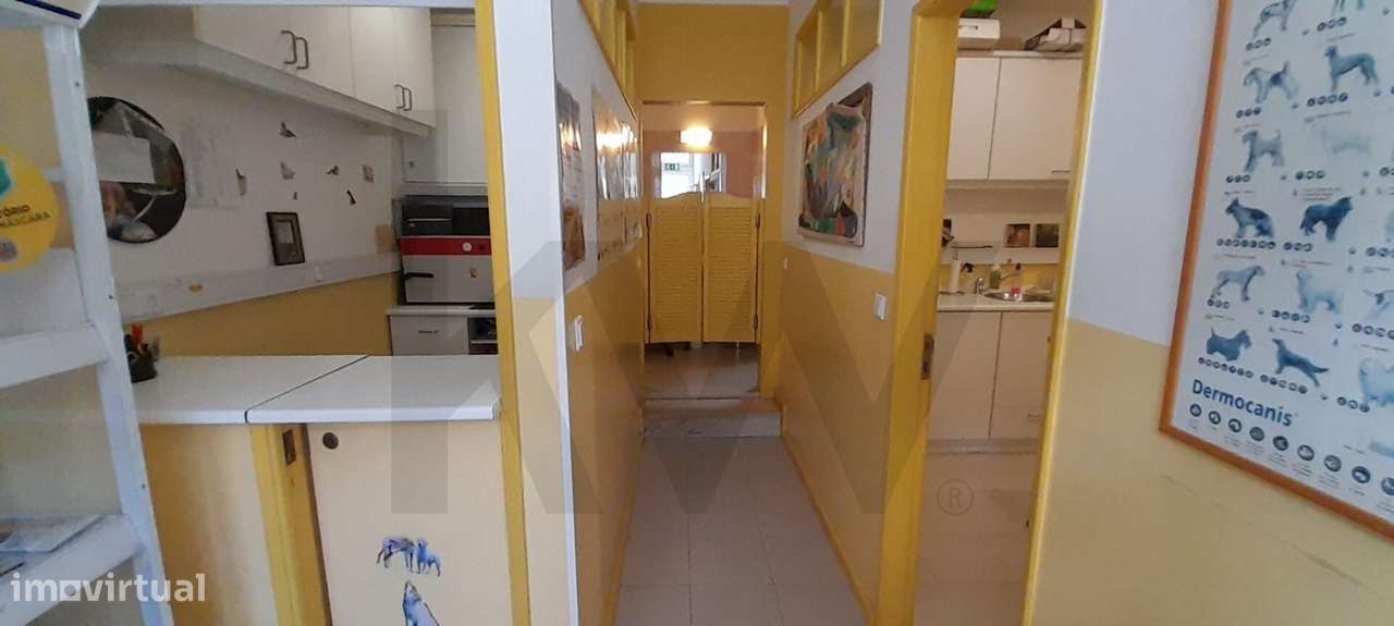 Aluguer Loja | Veterinário | C/ Garagem - Grande imagem: 4/9