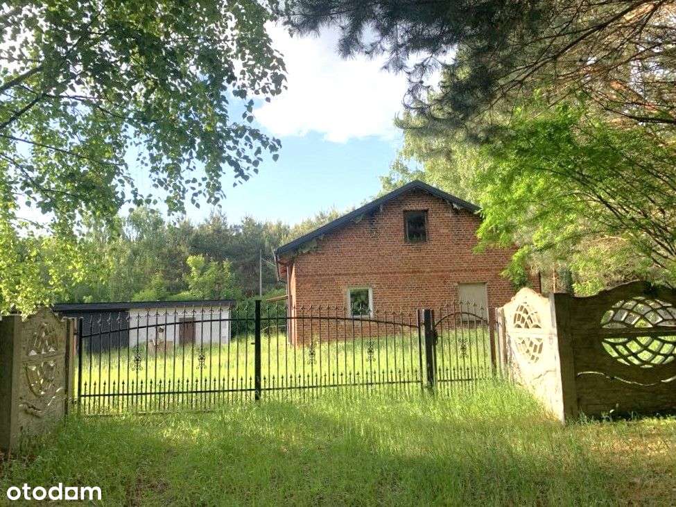 dom w środku lasu gm. Izbica Kujawska woj Kujawsko-2