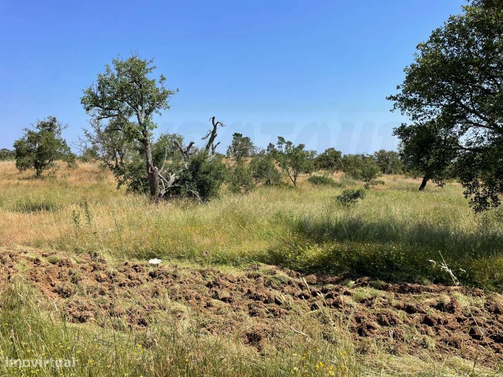 Refúgio rural de amplo potencial - Grande imagem: 2/26