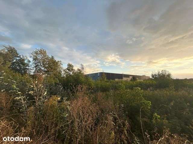 Teren inwestycyjny o szerokim przeznaczeniu-2