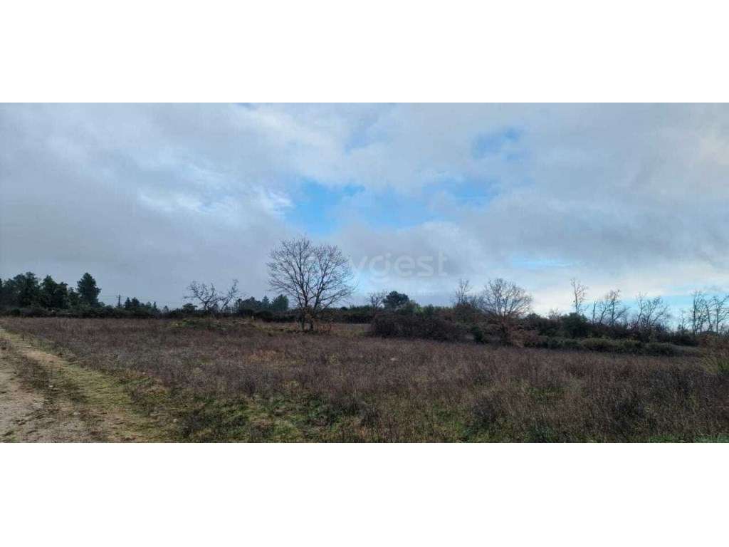 Terreno Rustico - 13 Hectares - Grande imagem: 4/16