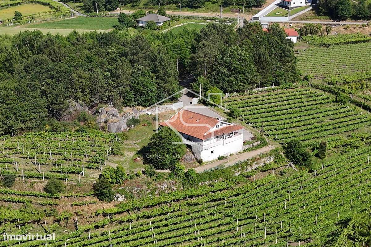 Quinta T6 | Selho São Jorge, Guimarães-13