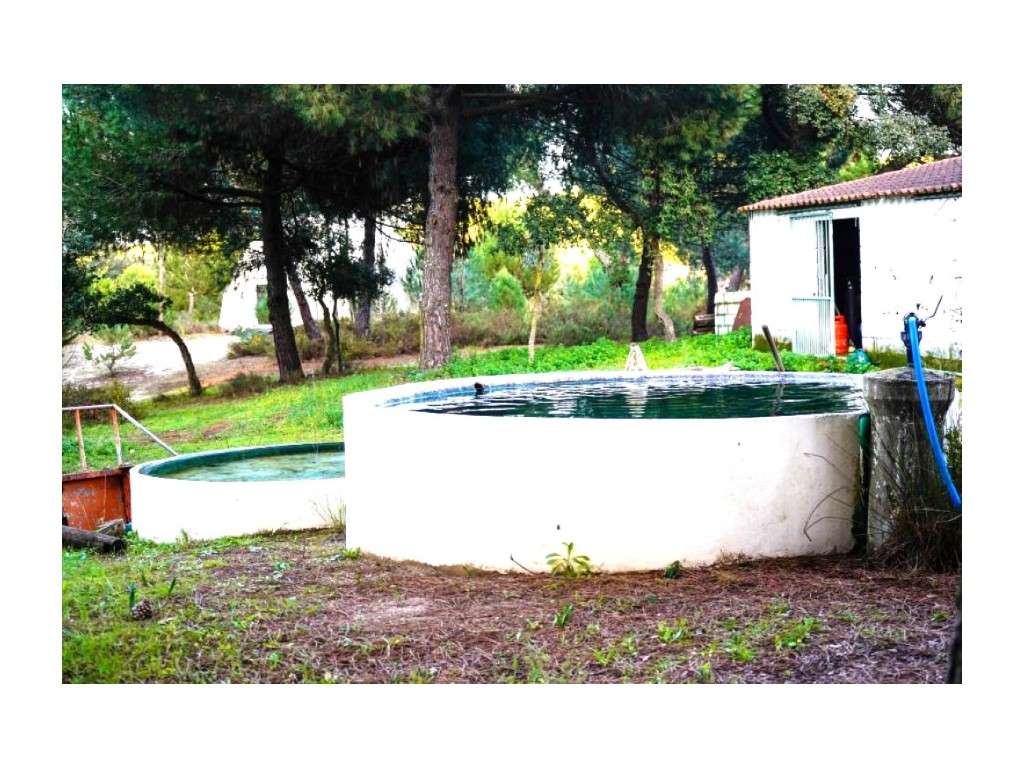 Monte Alentejano com 8,2 Hectares - Um Paraíso de Natureza e Sereni...-27