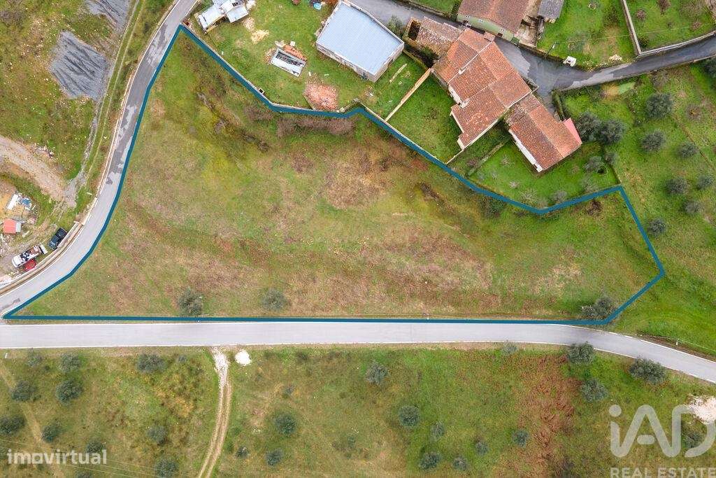 Terreno em Arganil de 2700,00 m2 - Grande imagem: 4/10