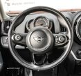 Mini Countryman - 19