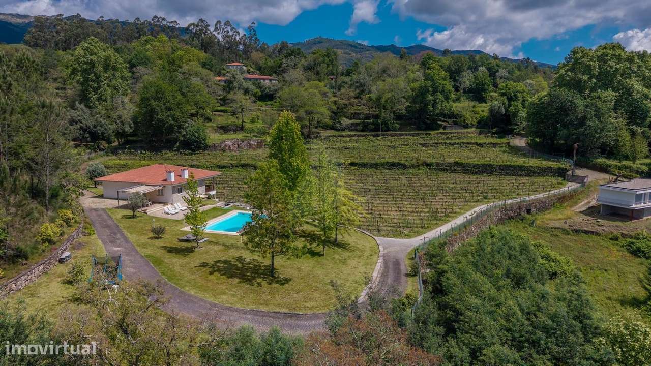 Quinta com Vinha Produtiva e Potencial Turístico junto ao Gerês-7