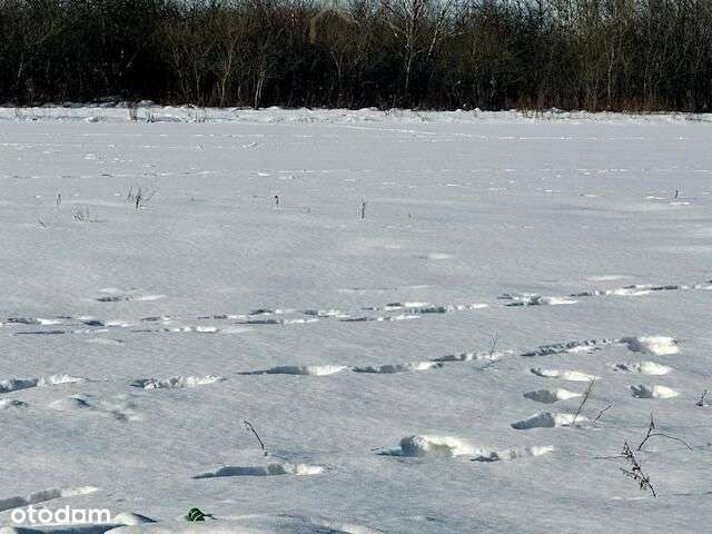 Działka, 2 000 m², Łomianki-1