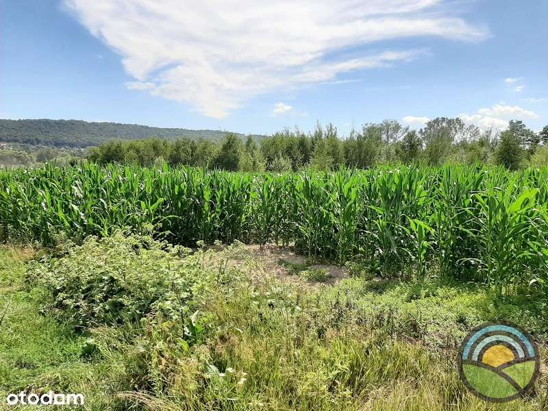 Więckowice gm. Zabierzów - działka 32-arowa pod budownictwo zagrodowe - Pełny obrazek: 4/4