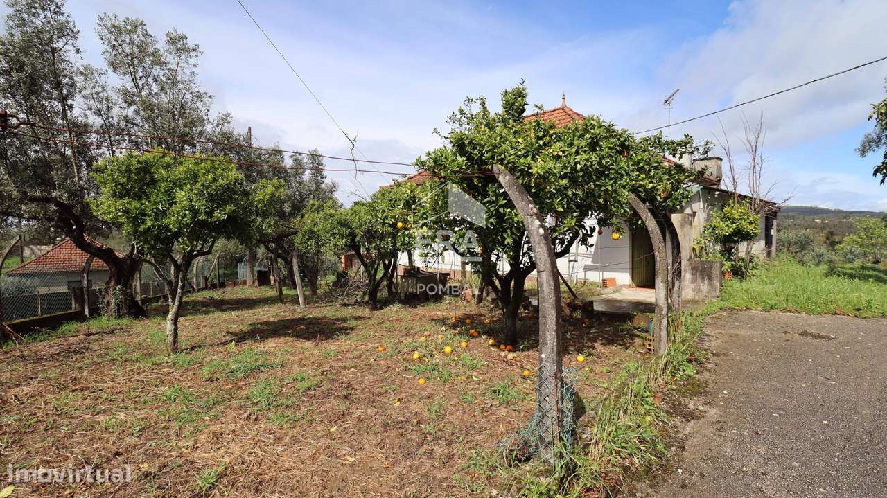 Moradia T3, localizada em Abiul, Pombal - Grande imagem: 3/28