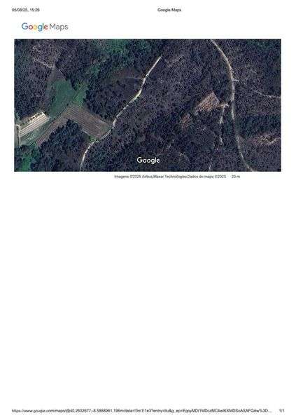 Terreno florestal - Grande imagem: 2/3