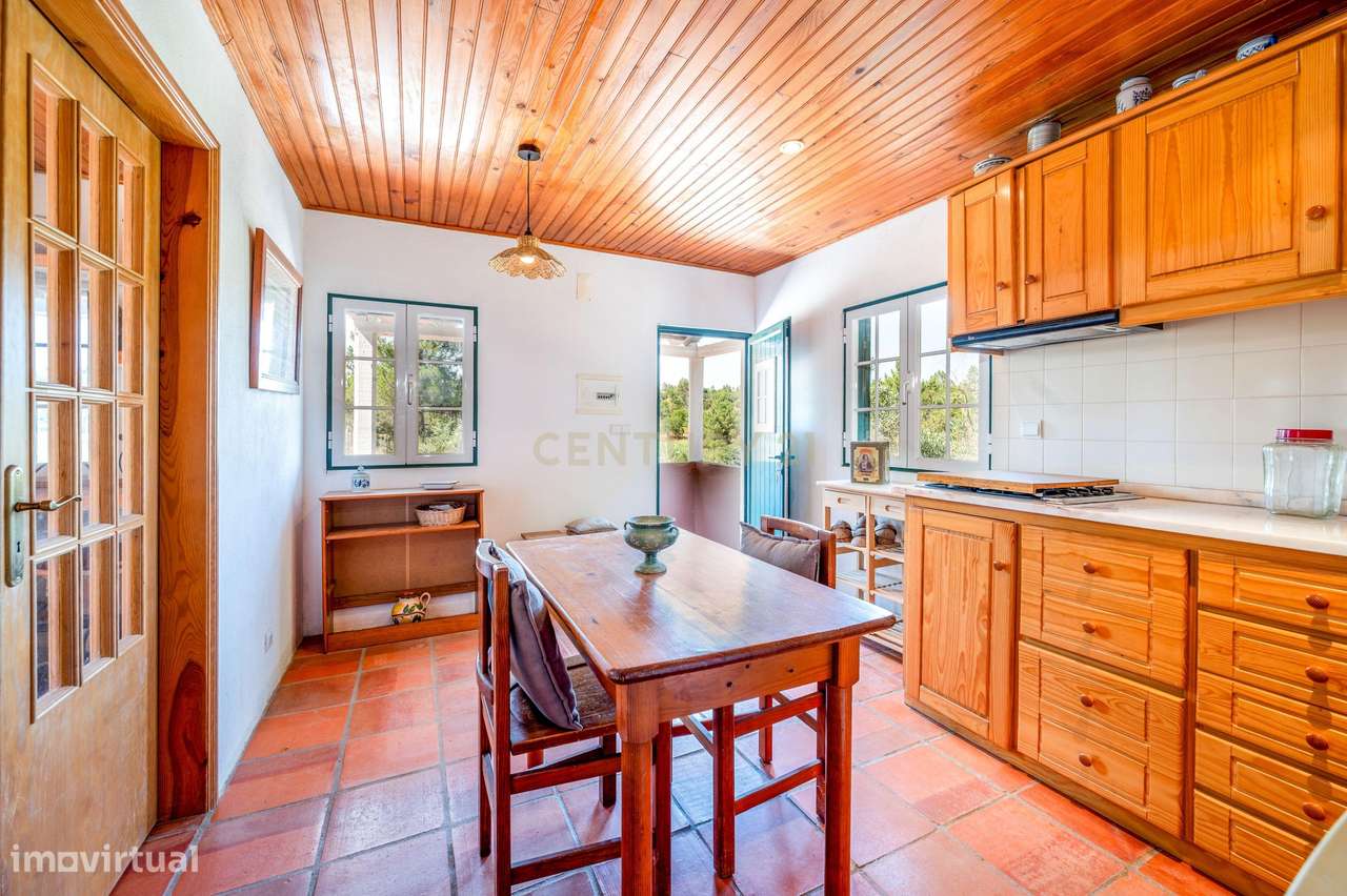 Moradia em Farinha Branca, Montargil-11