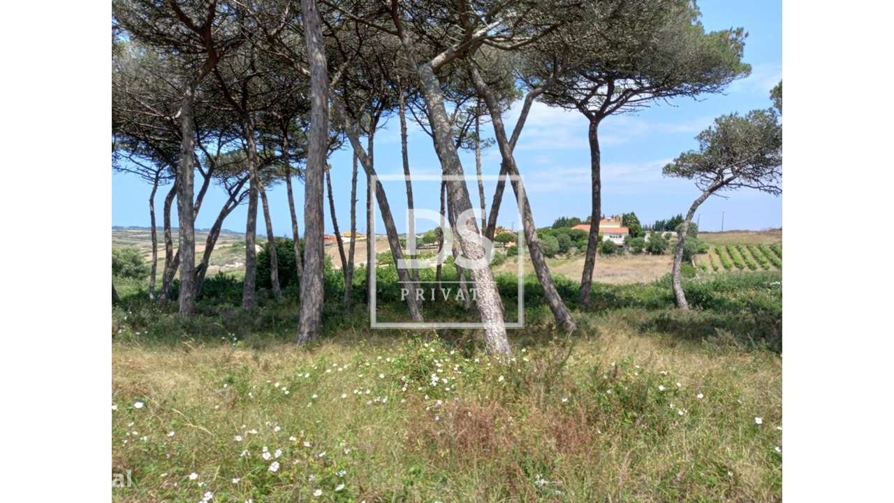 Terreno Rústico em UDF de São João das Lampas e Terrugem - Grande imagem: 3/23