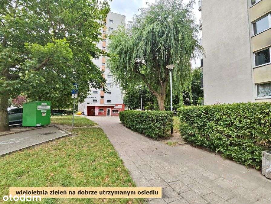 Po kapitalnym remoncie z pięknym widokiem-12