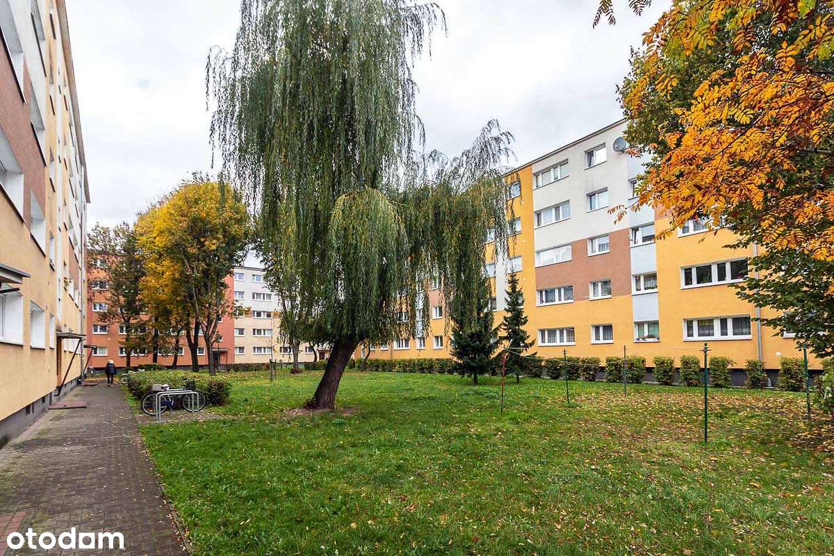 2-pokojowe mieszkanie | oddzielna kuchnia | Grunwald-17