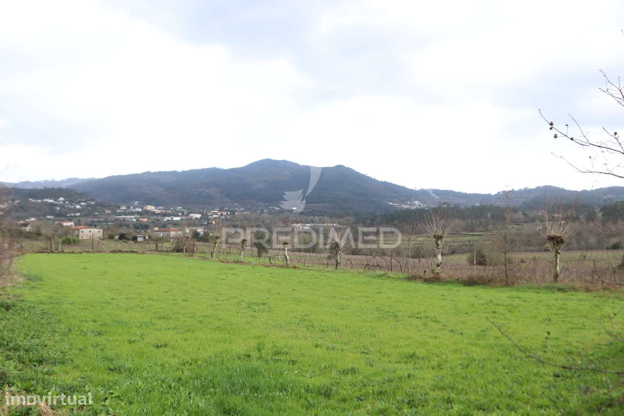 Oportunidade....Terreno Agrícola. - Grande imagem: 4/12
