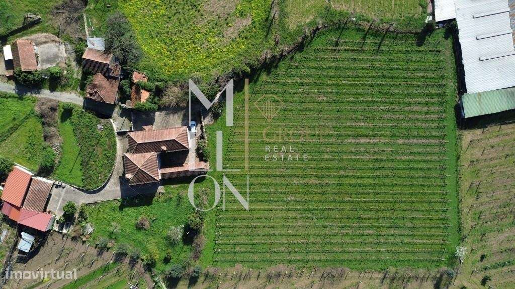 Quinta do Loureiro: Uma Casa Solar Histórica e Elegante em Lousada-36