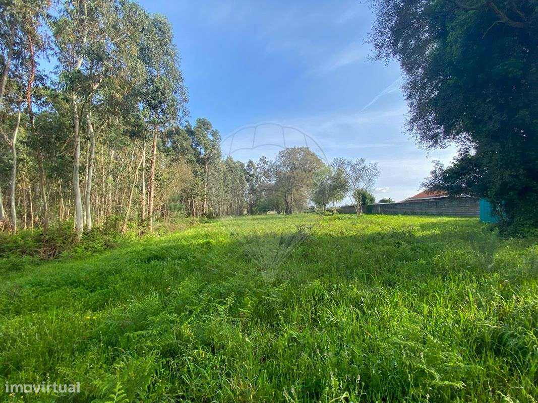 Terreno  para venda - Grande imagem: 4/17