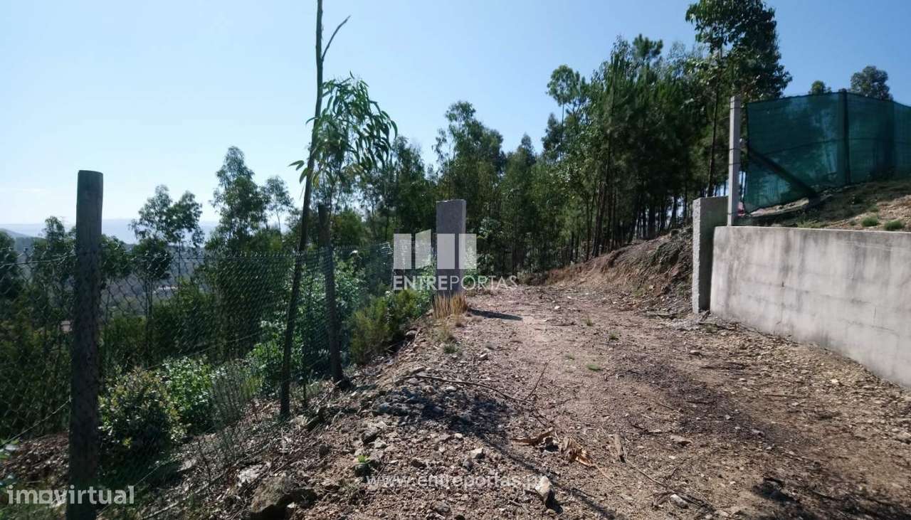 Venda Terreno, Gove, Baião - Grande imagem: 3/15