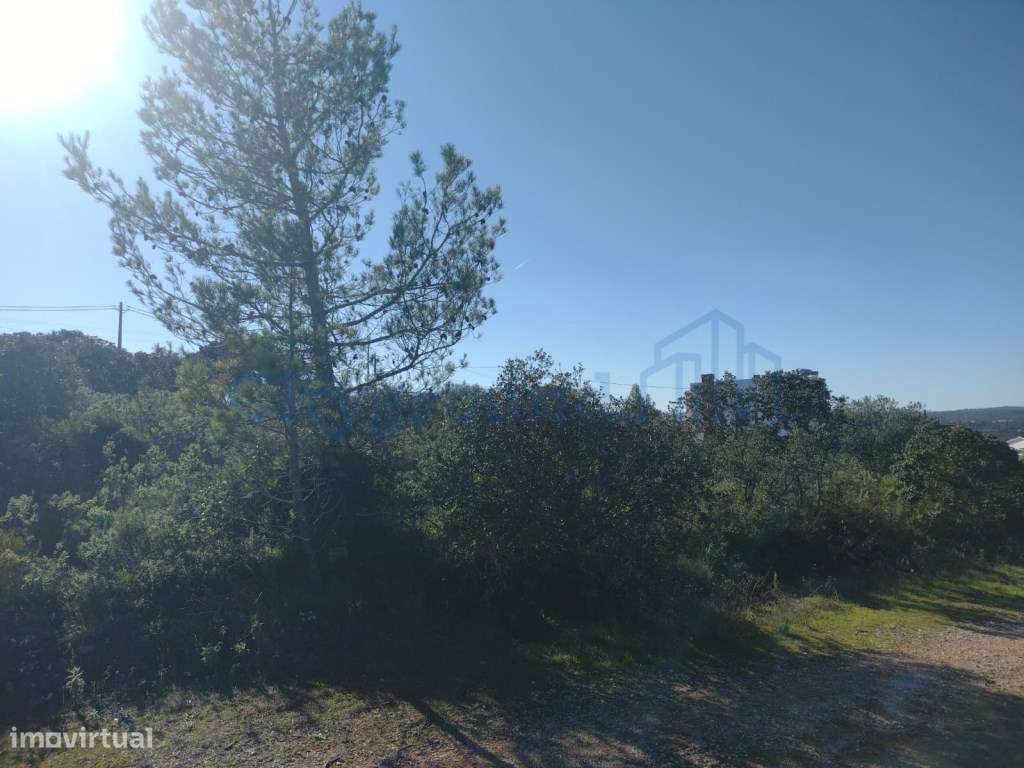 Terreno de 1505m2 urbanizável em Ortiga, Fátima com vista Castelo O...-7