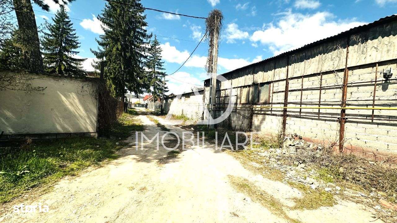De vanzare Teren + Hale in Targu Jiu, Bârsești - Imagine principală: 4/17