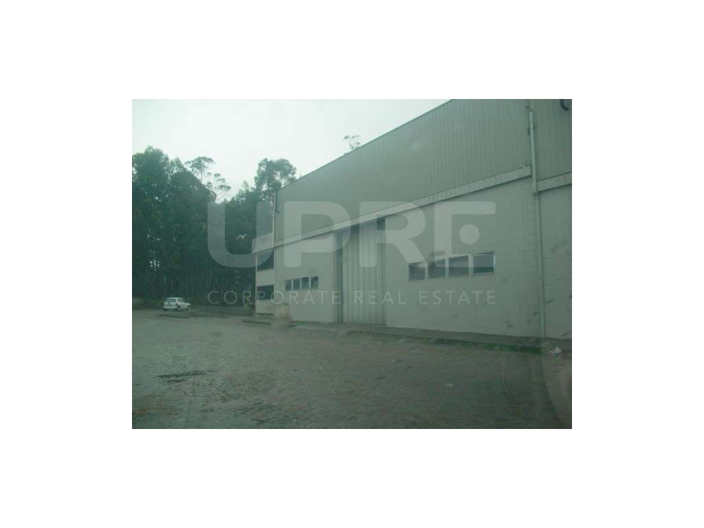 ARRENDA | Armazém | Maia (VN Telha) - Grande imagem: 4/23