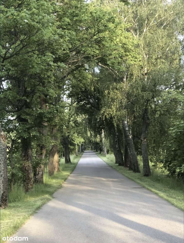 RYDZEWO ATRAKCYJNA DZIAŁKA BUDOWLANA 1100m2 - Pełny obrazek: 5/6