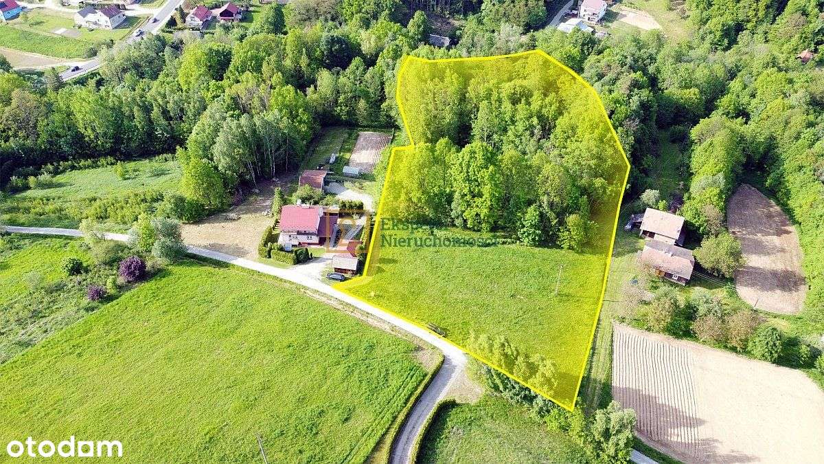 Piękna działka z lasem, Glinik Charzewski, 1,18 ha-5