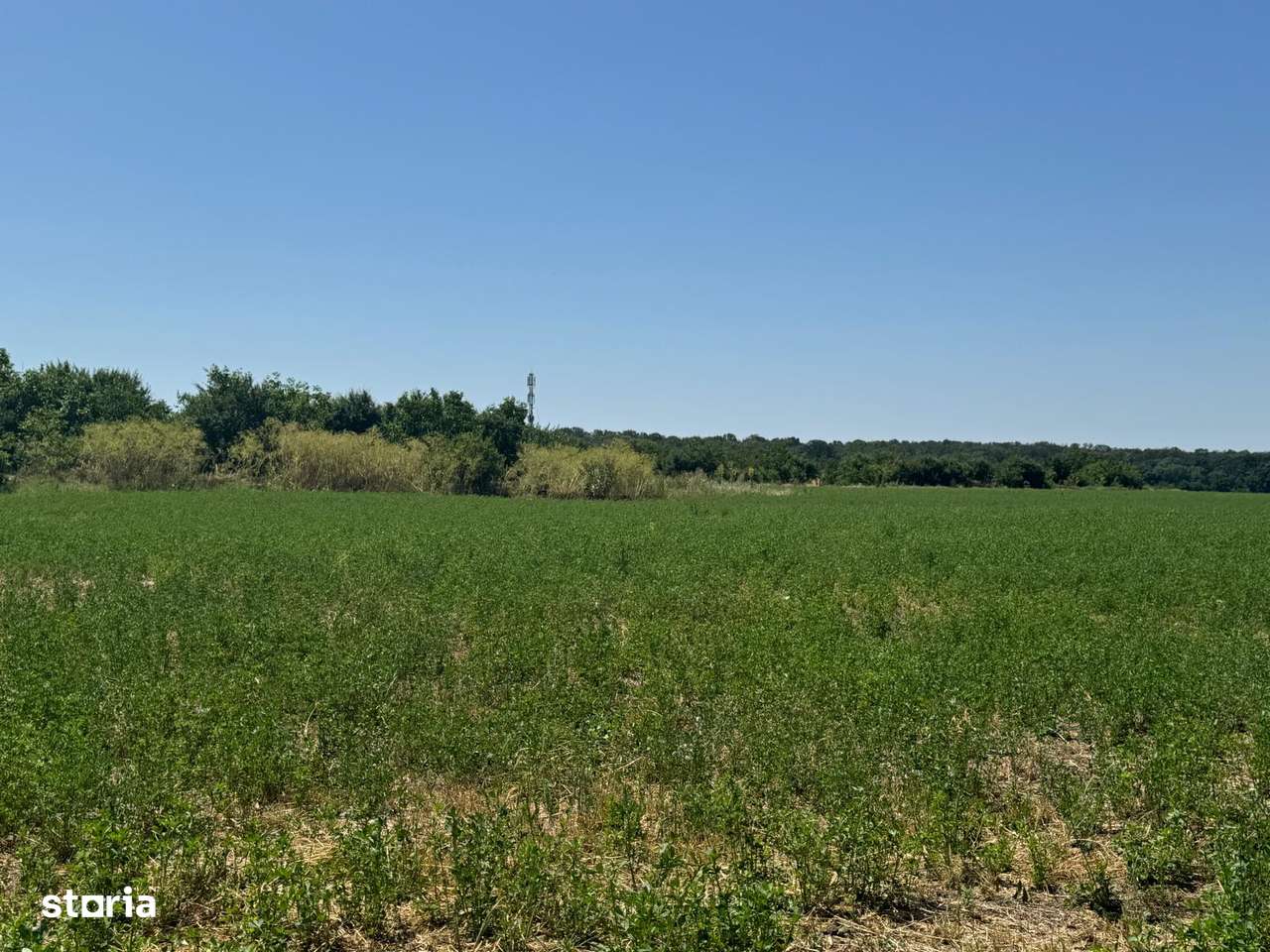 Vanzare Teren  construibil  2600mp Ganeasa-10