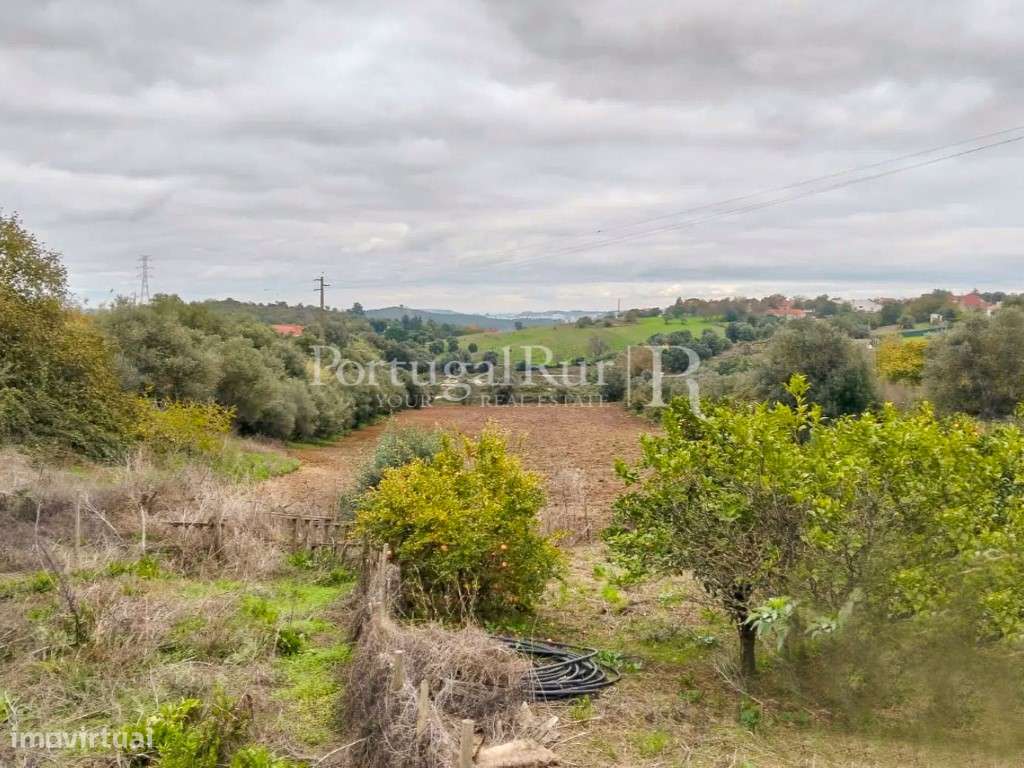 Quinta com 13.000 m² e 3 Moradias no Cartaxo, Póvoa da Isenta-21