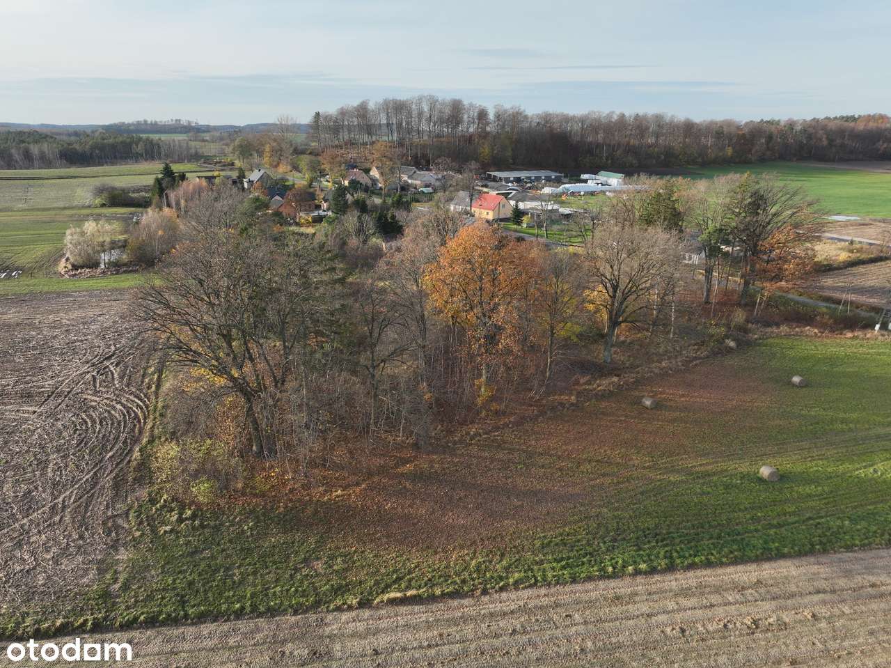 Działka 0,62 ha | Pobłocie | Przy drodze wojewódzkiej nr 213 - Pełny obrazek: 5/6