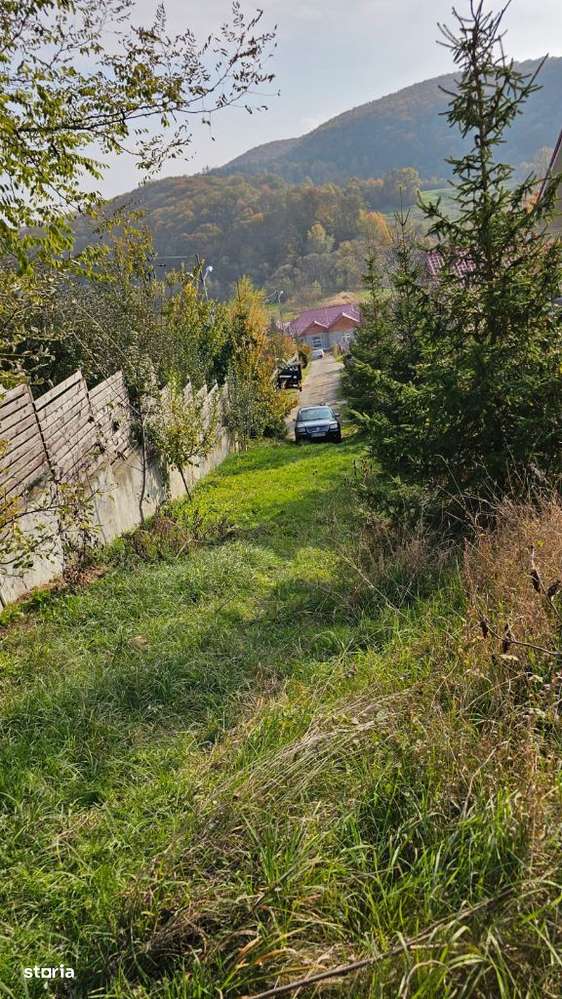 Teren extravilan Luncani-Bacau - Imagine principală: 2/2