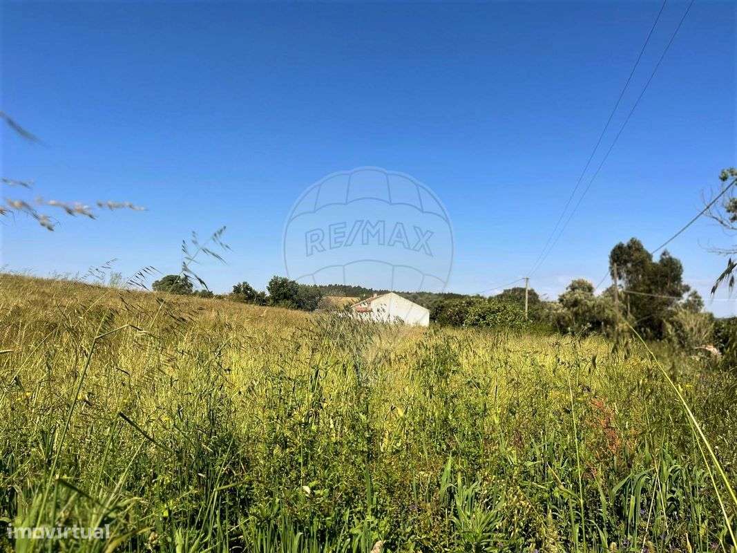 Quinta T3 para venda - Grande imagem: 5/13