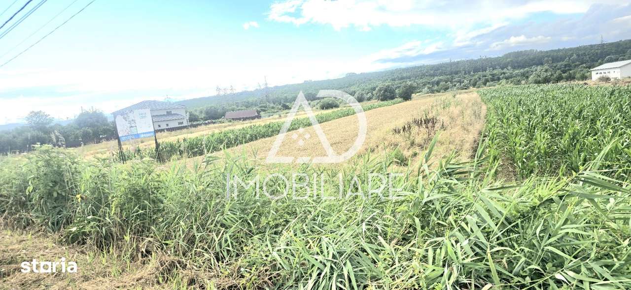 Teren de vis în Sat Moi, Comuna Bâlteni - Imagine principală: 4/6