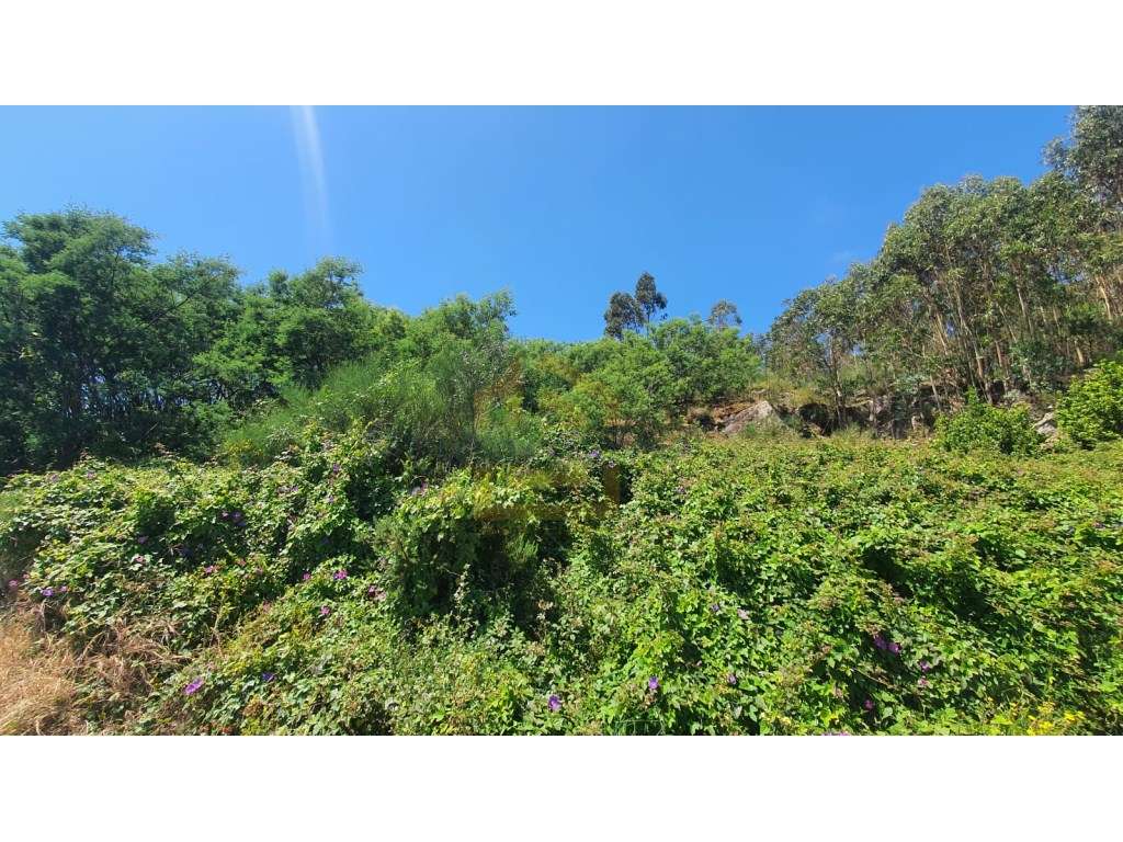 Terreno de construção para venda ( freguesia de Terroso - cividade ... - Grande imagem: 5/12