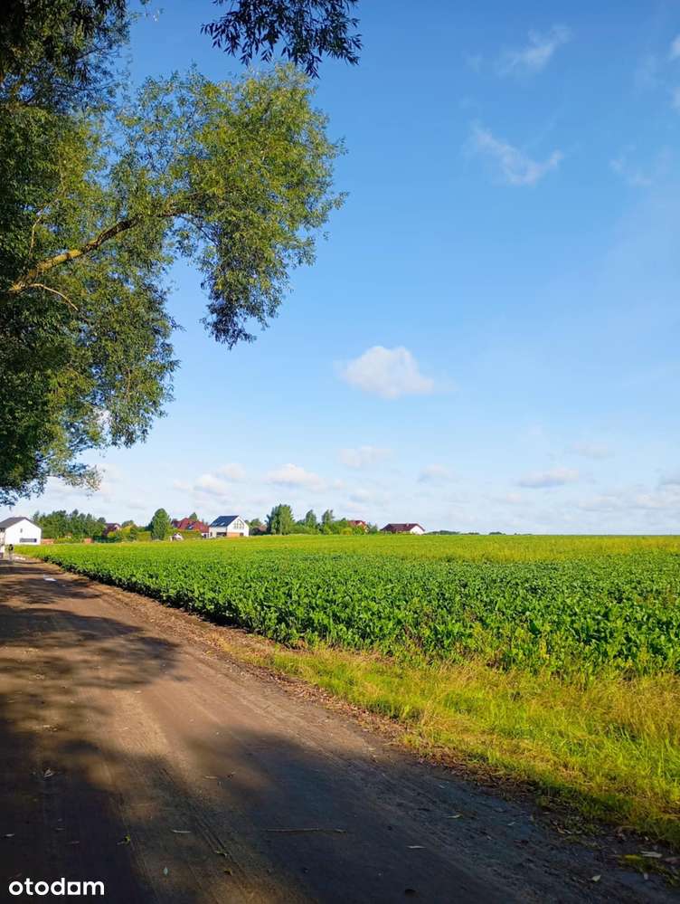 atrakcyjna działka - Pełny obrazek: 5/7
