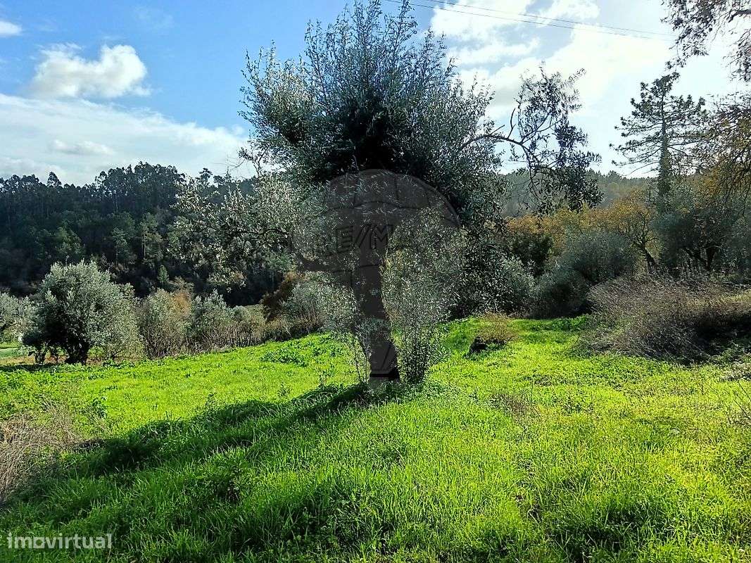 Terreno  para venda - Grande imagem: 4/7