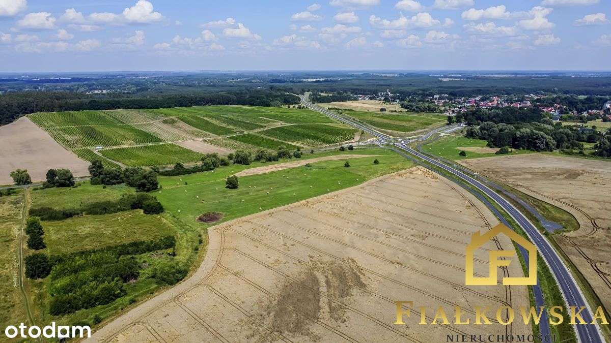 Działka rolna z istniejącą winnicą - Łaz-15