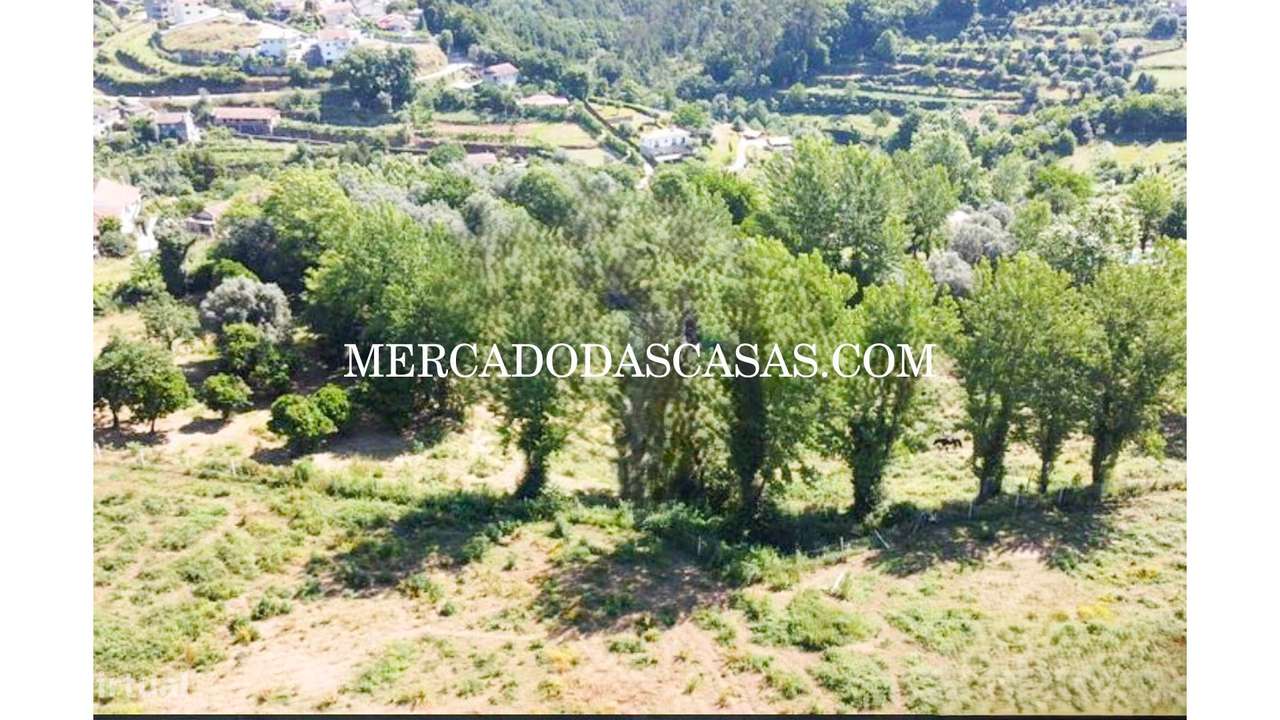 Quinta T3 em Arco de Baúlhe, Cabeceiras de Basto - Grande imagem: 4/17