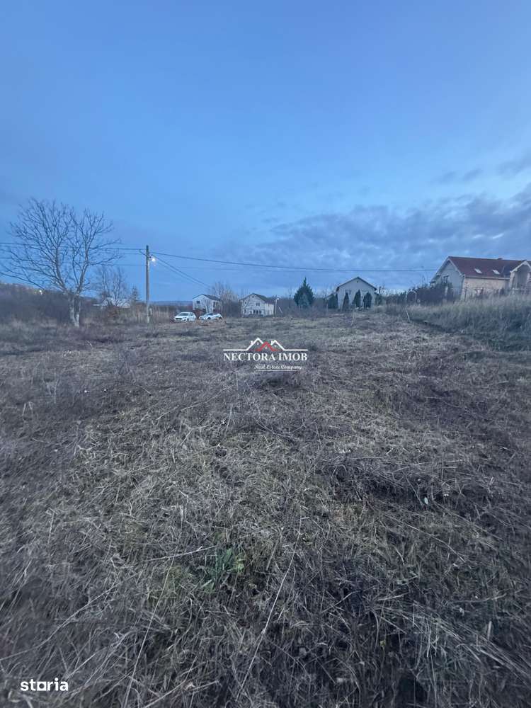 NECTORA IMOB-Teren Intravilan 647 mp, Dublu Front, Paleu, cu Utilitati - Imagine principală: 4/7