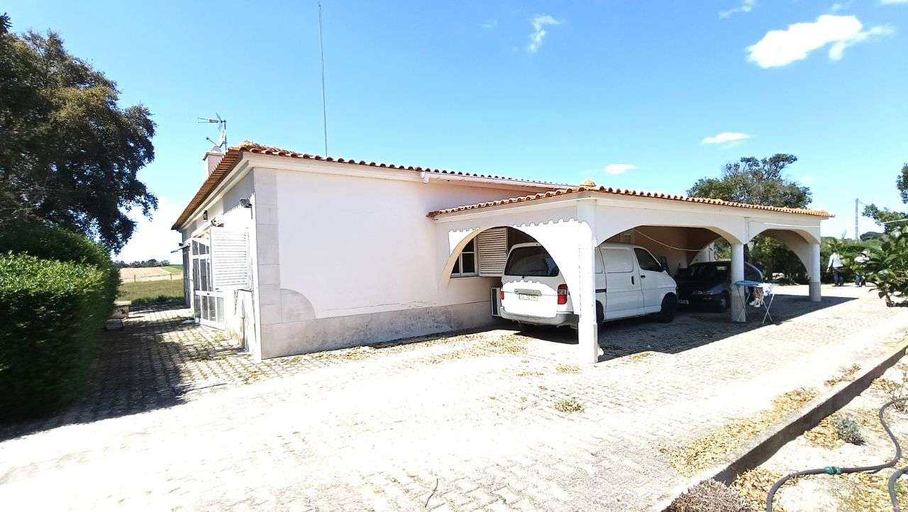 Quinta Pegões Velhos, junto á adega, com moradia e armazém lote 3,8 ha-41