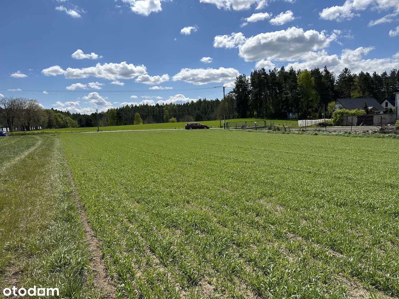 Działka 4900 m2, Dzierżążno, gm. Kartuzy. INWESTYCJA ! - Pełny obrazek: 5/11