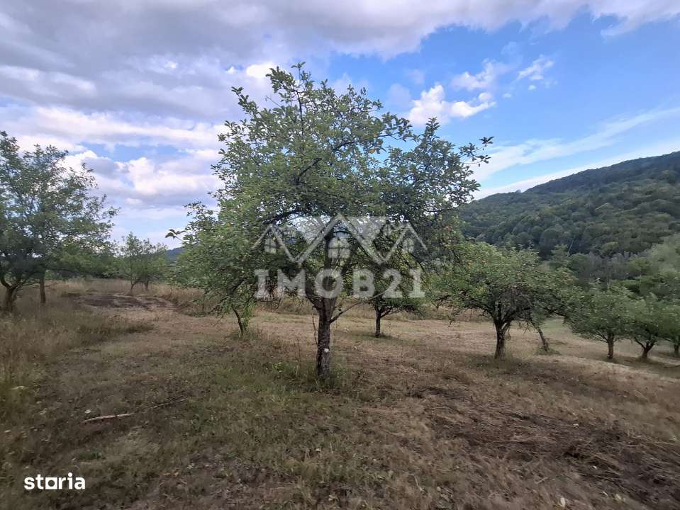 Teren spectaculos cu padure, livada si priveliste panoramica in Soimar - Imagine principală: 4/17