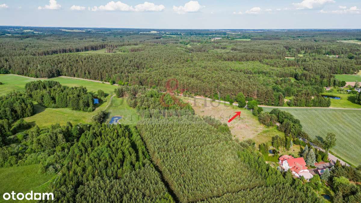 Działka na Kaszubach przy samym lesie - Pełny obrazek: 4/18