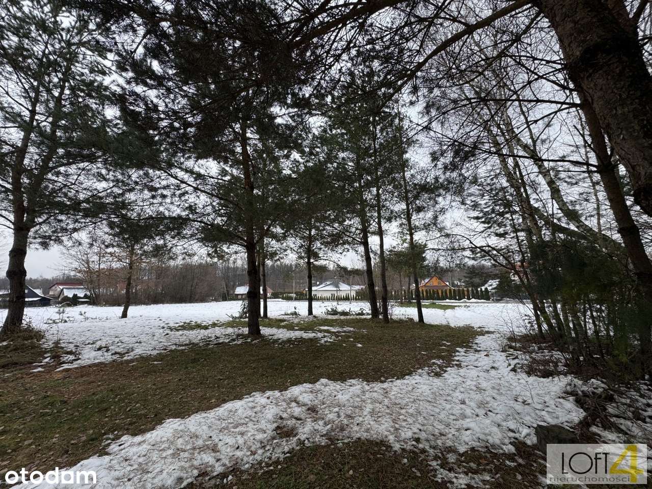 Duża działka z WZ -  otulona lasem-7