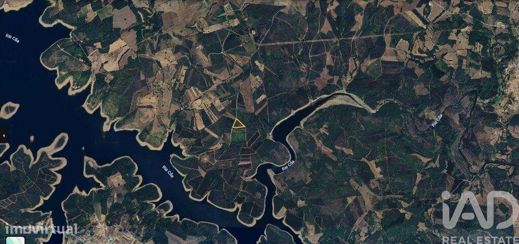 Terreno Agrícola em Sabugal e Aldeia de Santo António - Grande imagem: 5/5