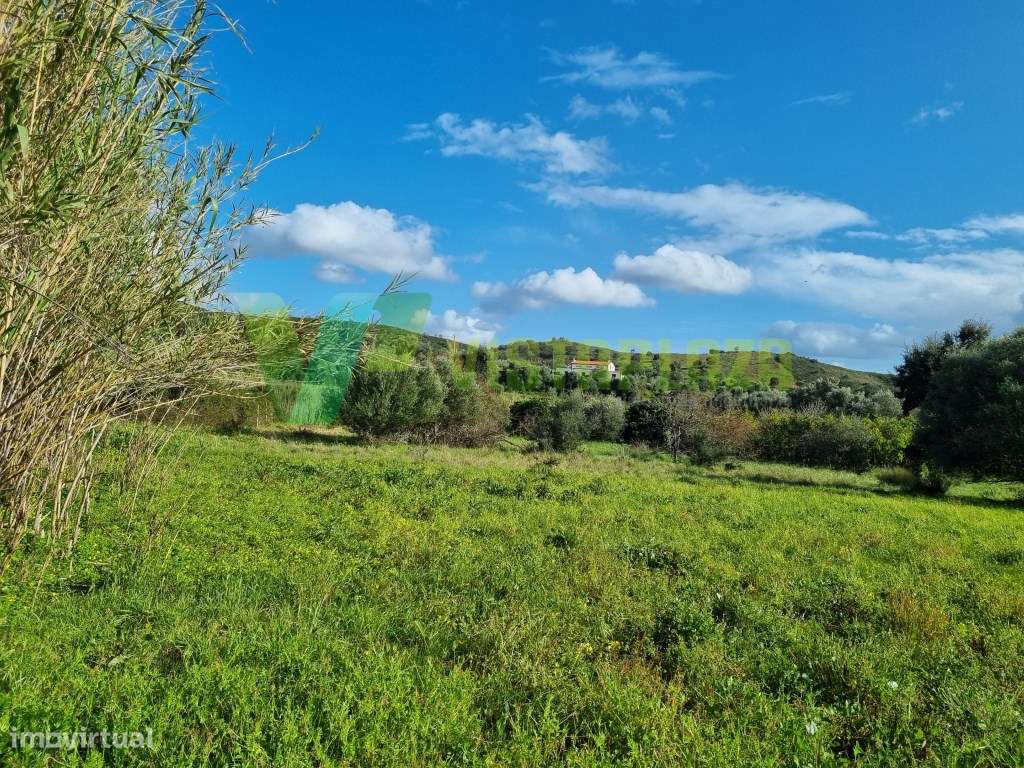 Terreno Rústico Plano com Fácil Acesso em São Bartolomeu de Messines - Grande imagem: 5/17
