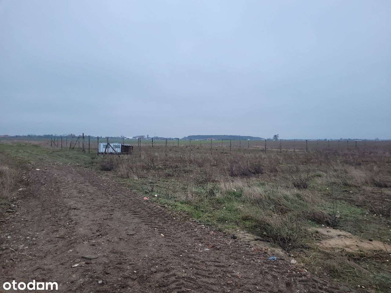Działka 2000m2 "os. kalendarzowe" cena brutto Fv23% - Pełny obrazek: 4/12